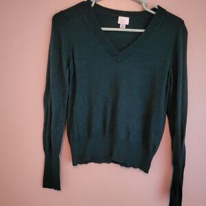 A. New Day xs Green vneck sweater